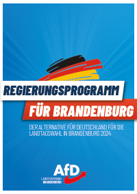 AfD Brandenburg Wahlprogramm 2024