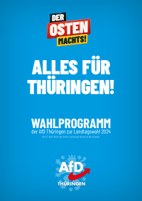 AfD Thüringen Wahlprogramm 2024