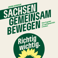 Grüne Sachsen Wahlprogramm 2024